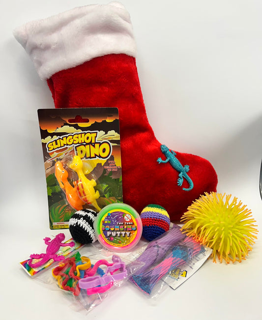 $25 TOY FILLED MYSTERY STOCKING